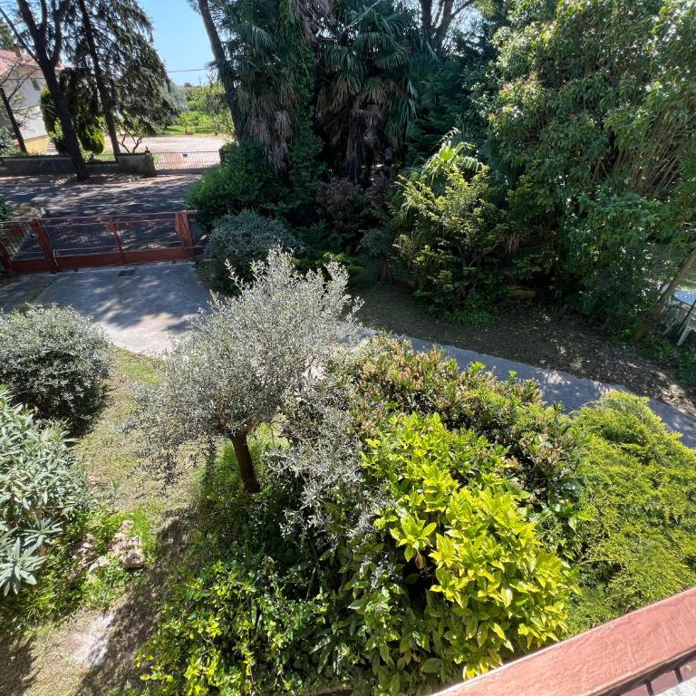 Villa Egles - Villa con giardino a Lignano Sabbiadoro - Villa - 52