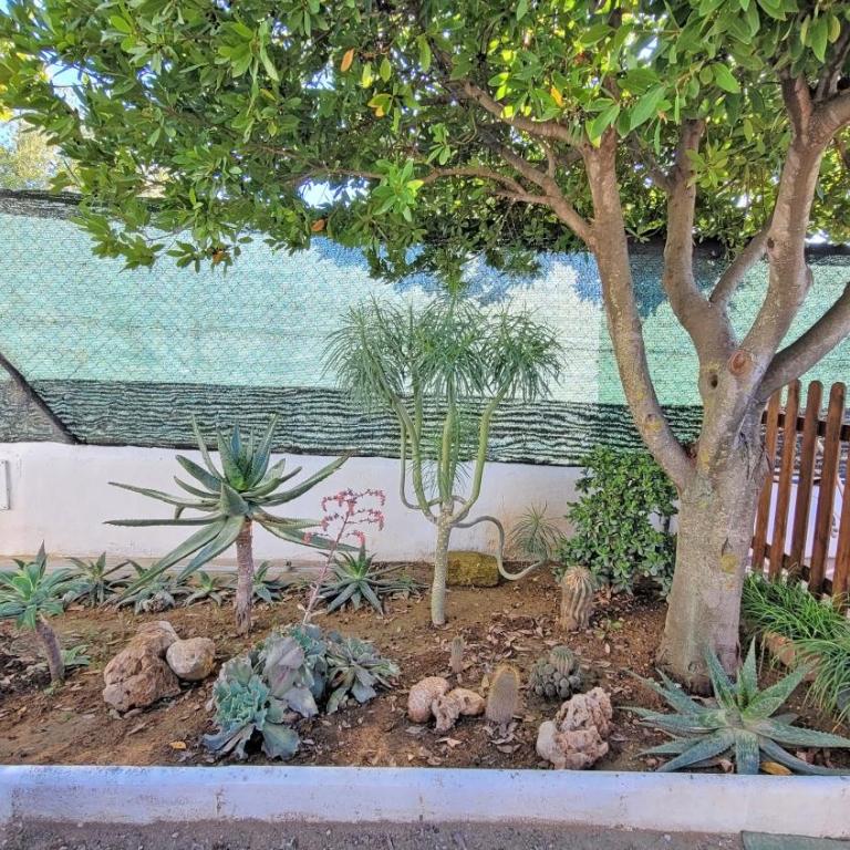 Casa Rural Cortijo Atalaya de Loaimes - Vacation Home - 32