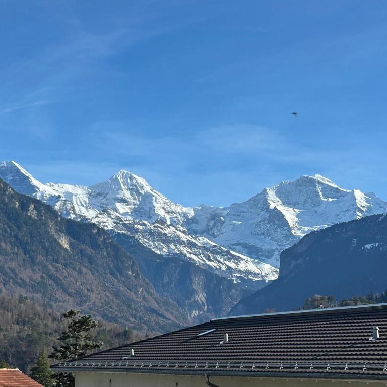 3Br Panorama Mountain View Interlaken - Apartment - 18