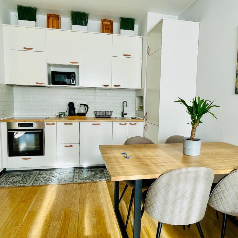 Brand new flat near Tesla museum - Apartman sa 2 Spavaće Sobe - 3