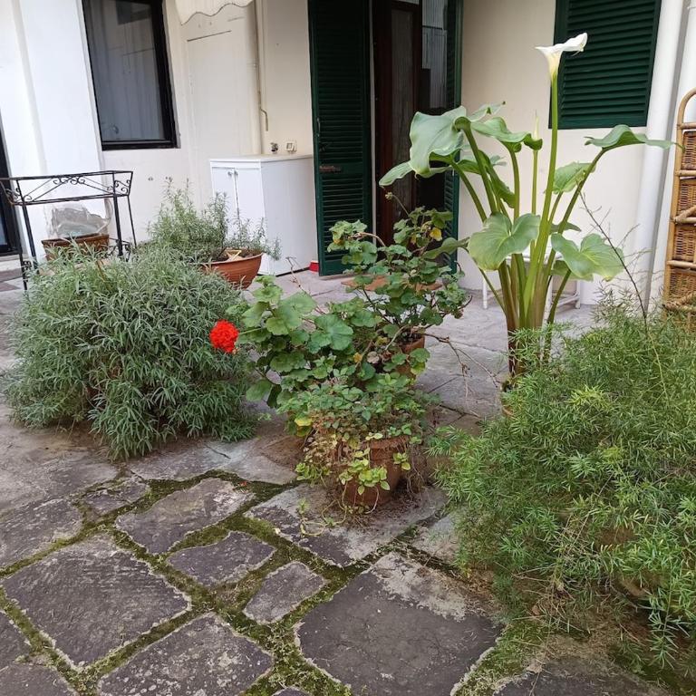 Savonarola Home Florence Italy - Appartamento con 2 Camere da Letto - 3