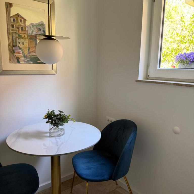 Villa Tamara with garden and river view - free private parking & garage - Apartment with Garden View - 16