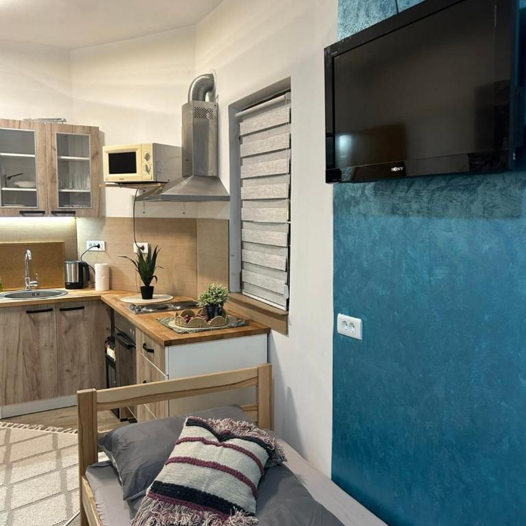 Studio apartman Lamija - Apartman sa 1 Spavaćom Sobom - 9