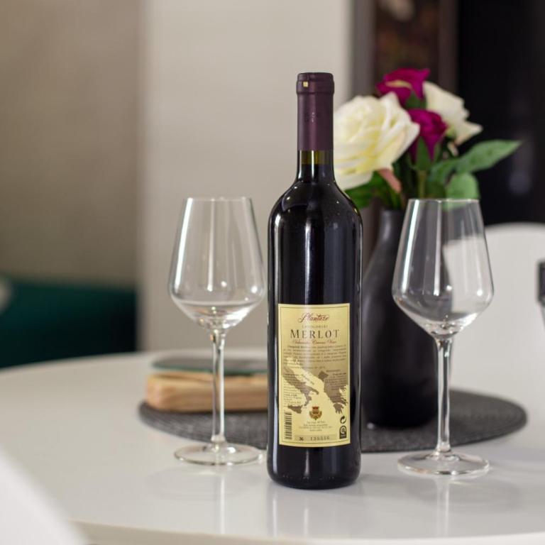 Victoria Studio 73 - Studio with Terrace - 5