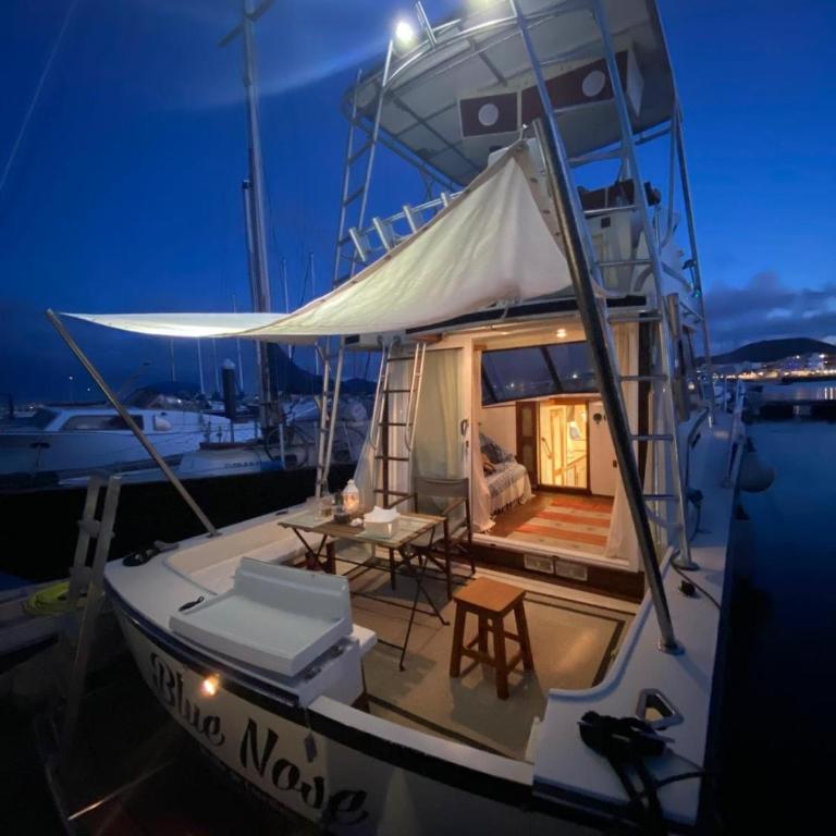 Corralejo Boat Experience - Casa Móvil - 34