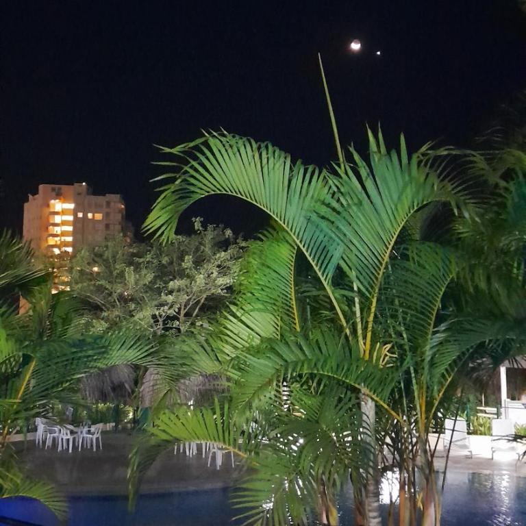 Condominio zazue - Apartamento de 2 dormitorios - 24