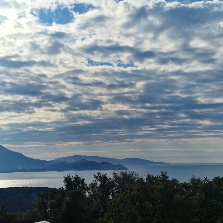 Villa Adriatica - Vila - 10