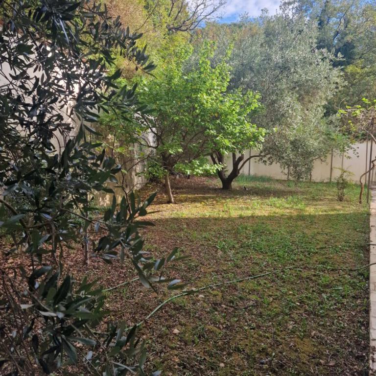 Villa Adriatica - Vila - 20
