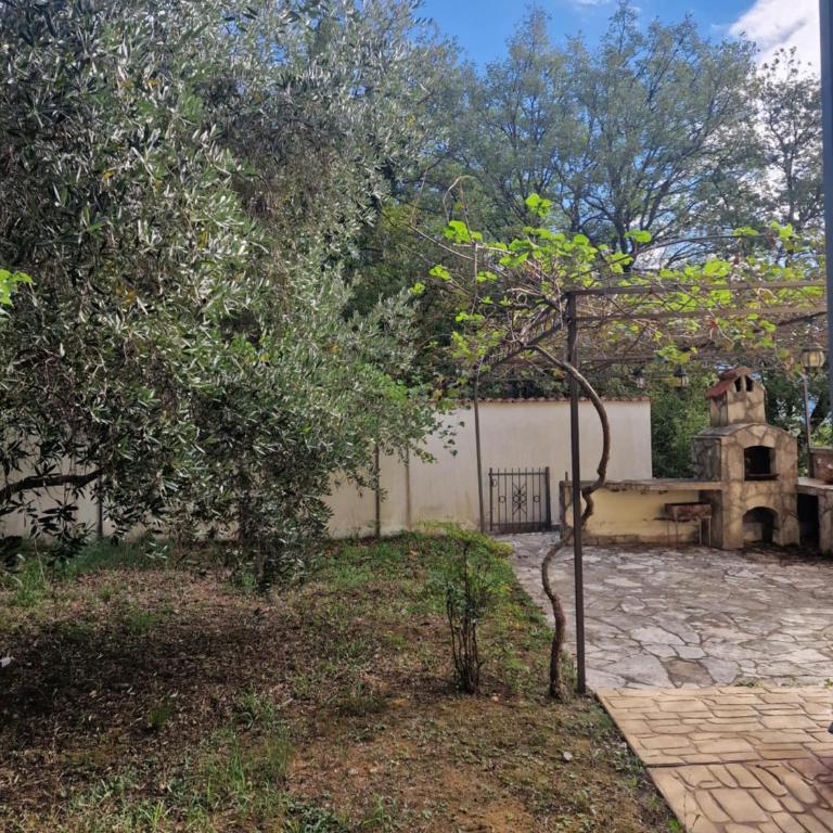 Villa Adriatica - Vila - 24