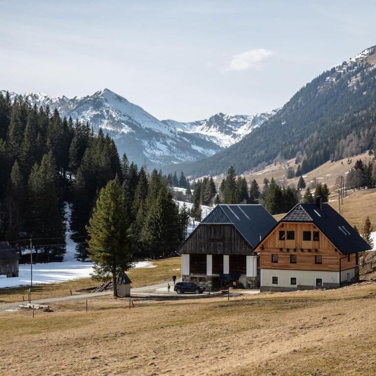 Das Detox Almhaus - Chalet - 2