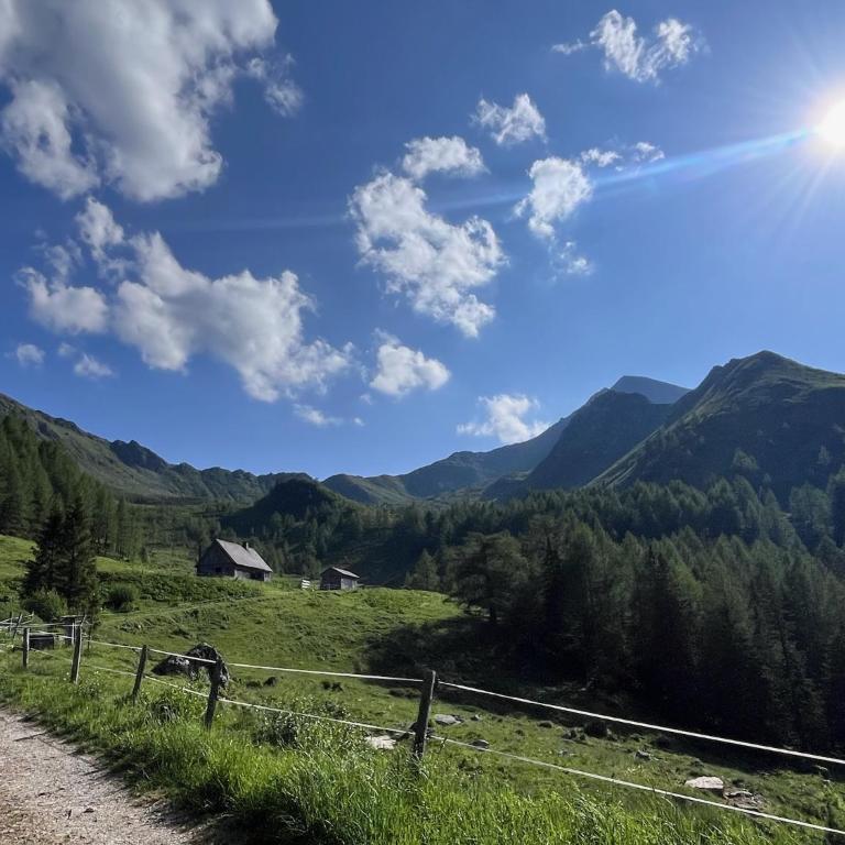 Das Detox Almhaus - Chalet - 63