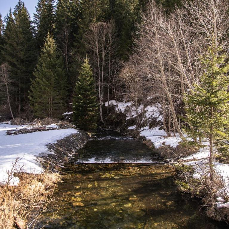 Das Detox Almhaus - Chalet - 73