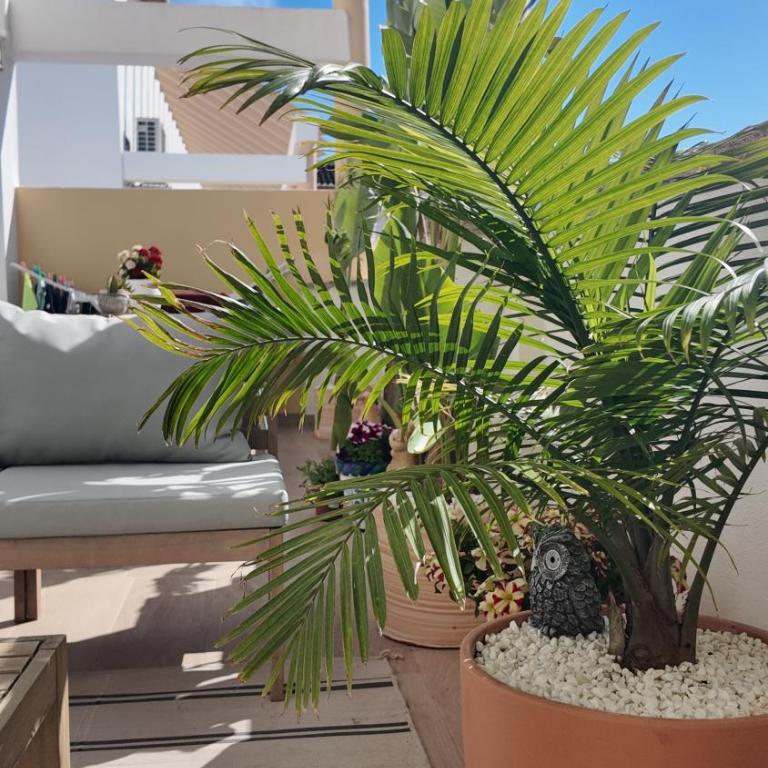 Ático Arenal de Jávea - Apartamento de 2 dormitorios - 23