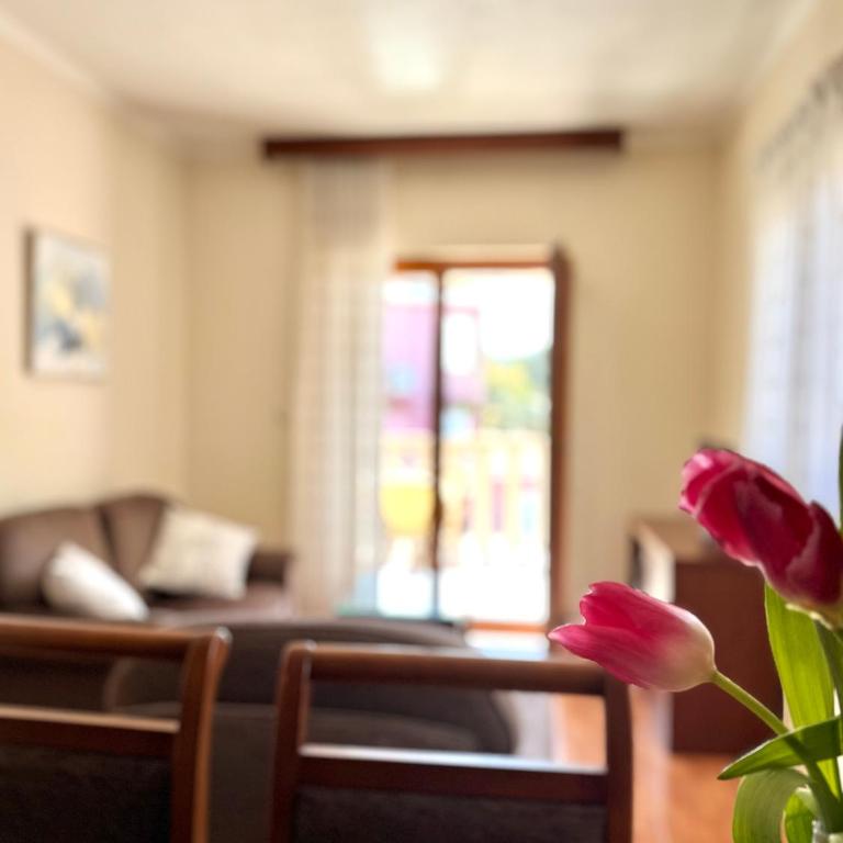 Apartments MUN Petrovac - Apartman sa 1 Spavaćom Sobom - 5
