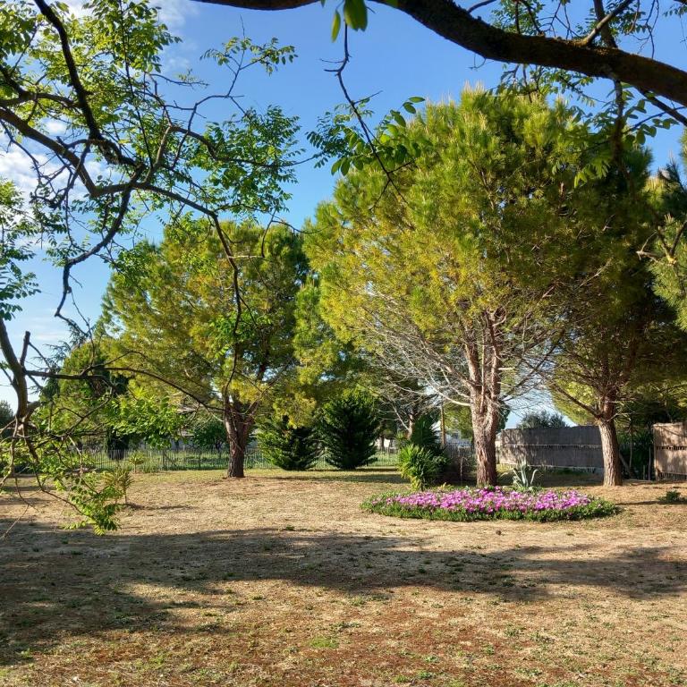 Domaine de L'Outarde Canepetiére Gîte A - Maison 1 Chambre - 23