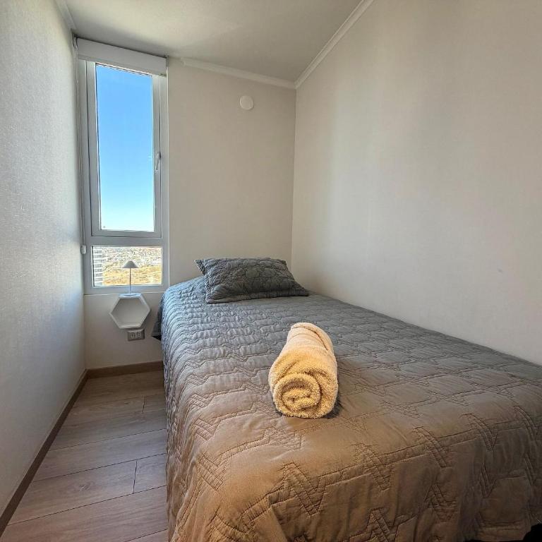 New and comfortable in Costa de Montemar - Apartment - 4