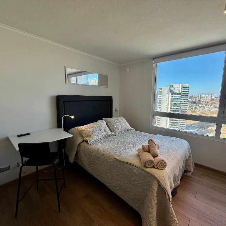 New and comfortable in Costa de Montemar - Apartment - 15