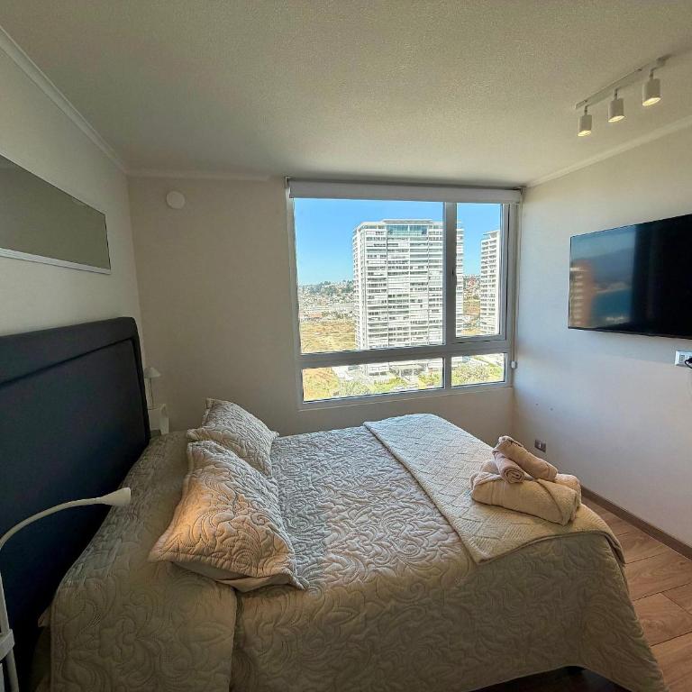 New and comfortable in Costa de Montemar - Apartment - 28