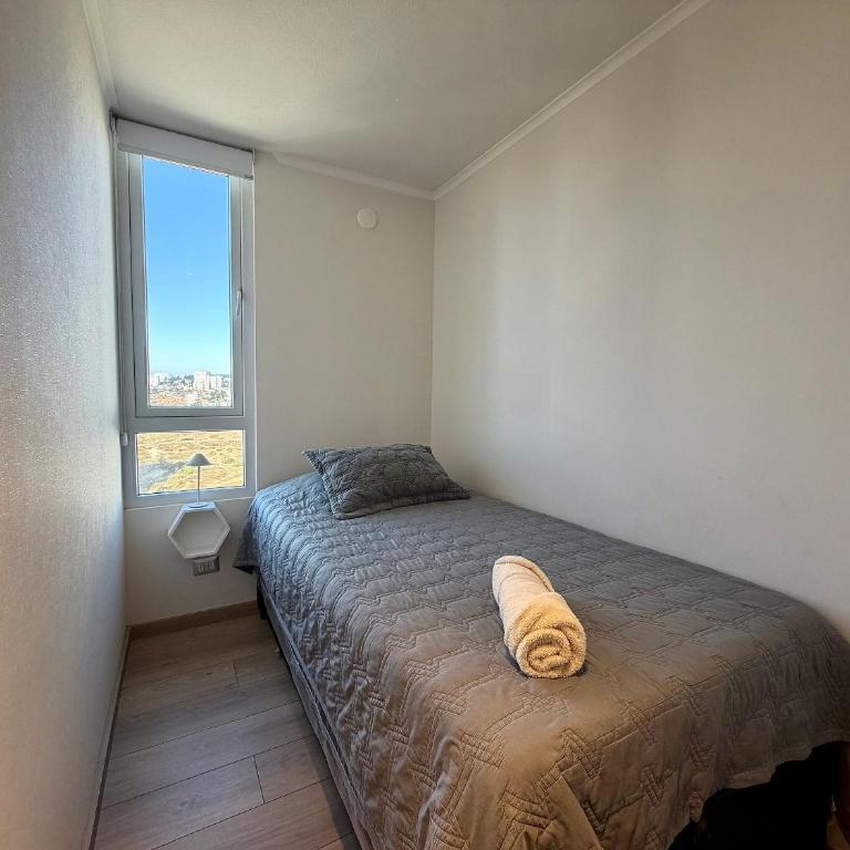 New and comfortable in Costa de Montemar - Apartment - 18