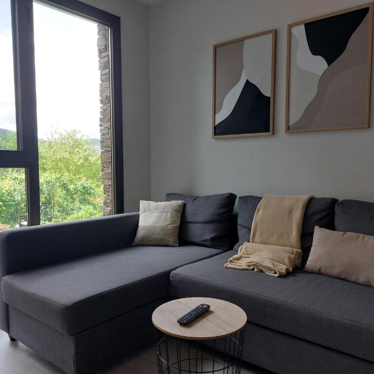 Apartamentos Ordesa Ainsa - Apartment - 14