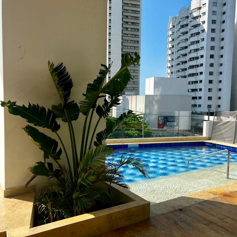 Apartamento de tres alcobas - Three-Bedroom Apartment - 100