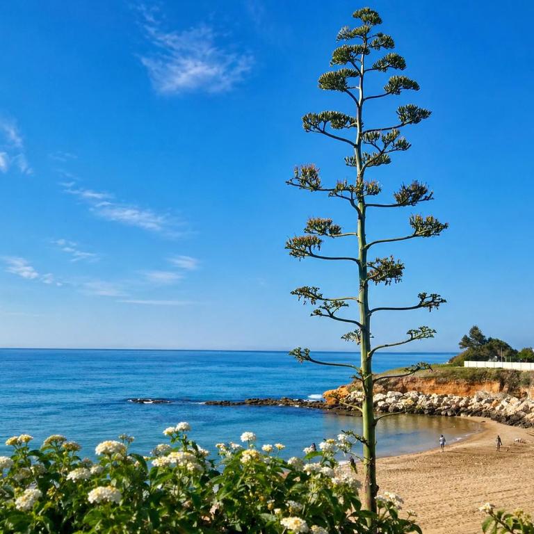 Avola Garden House near Pantanello Beach - Appartamento con 2 Camere da Letto - 50