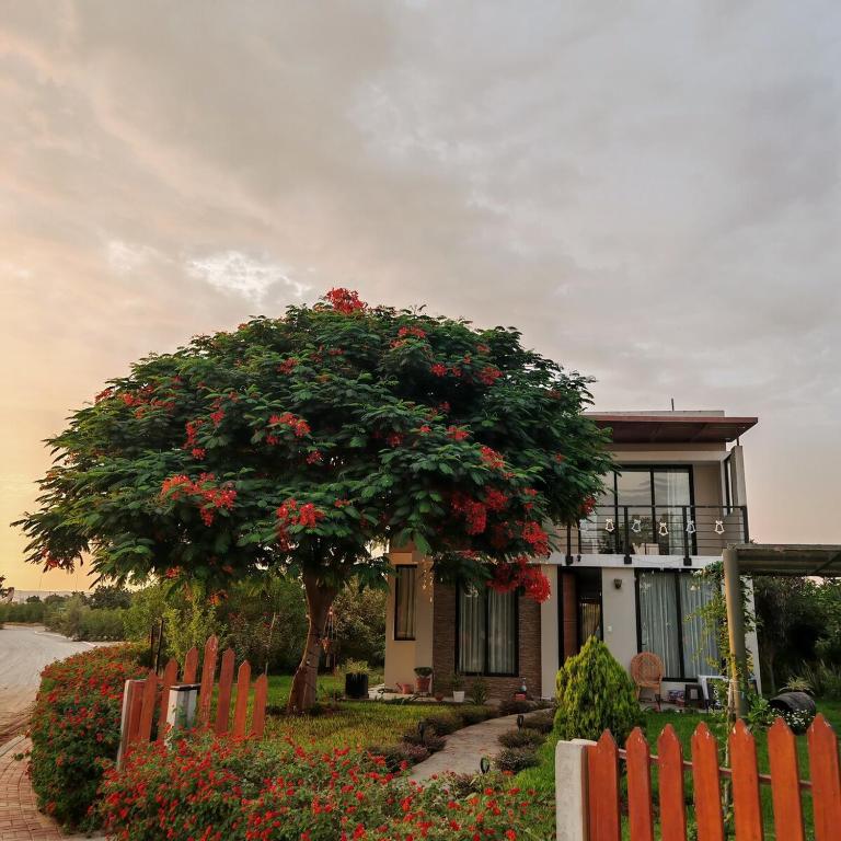 Casa del Eterno Sol - One-Bedroom House - 29