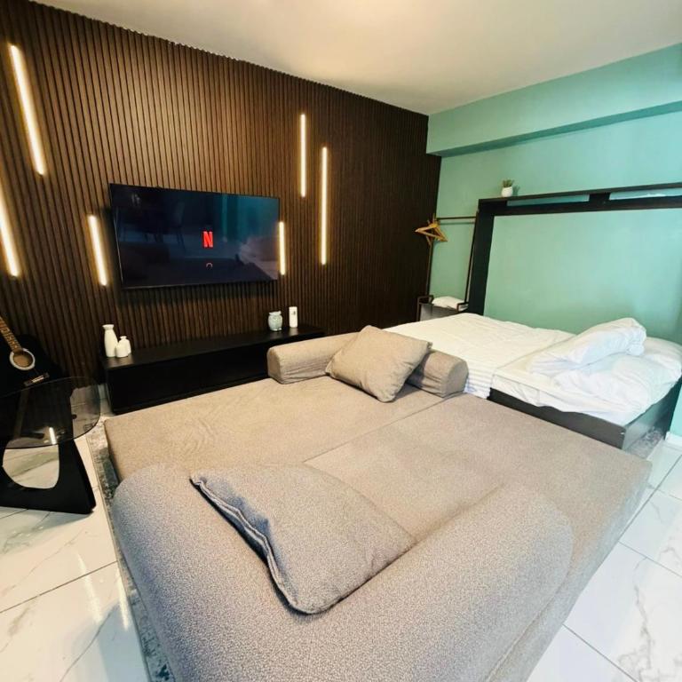 Richars Loft - One-Bedroom Apartment - 6