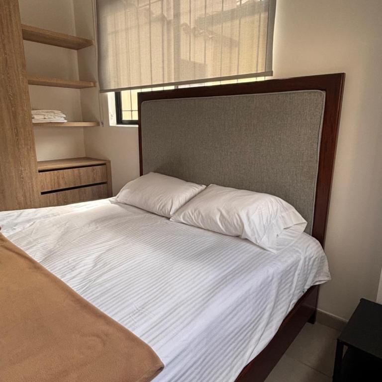 Hostal Boutique Loto de Belén - Apartamento - Planta baja - 3