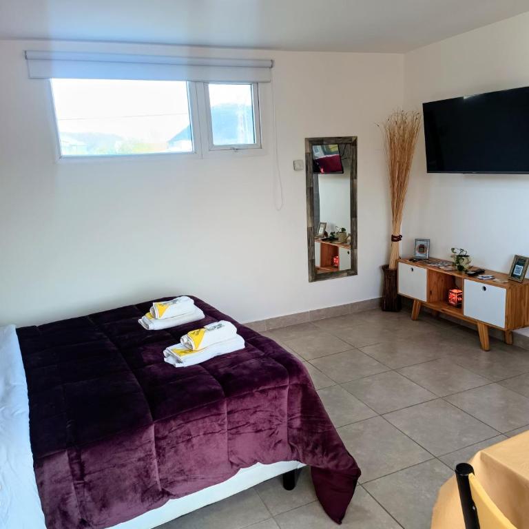 Rincon del Beagle Monoambiente - Standard Triple Studio - 1