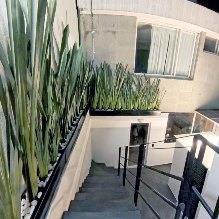 Mi Otra Casa Coyoacan - Quadruple Room with Terrace - 5
