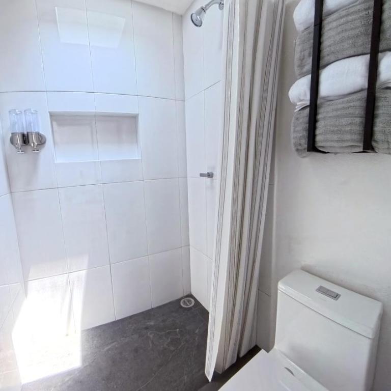 Mi Otra Casa Coyoacan - Quadruple Room with Terrace - 10