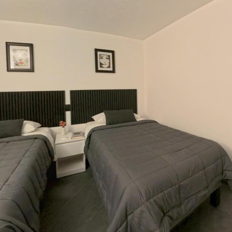 Mi Otra Casa Coyoacan - Quadruple Room with Terrace - 19