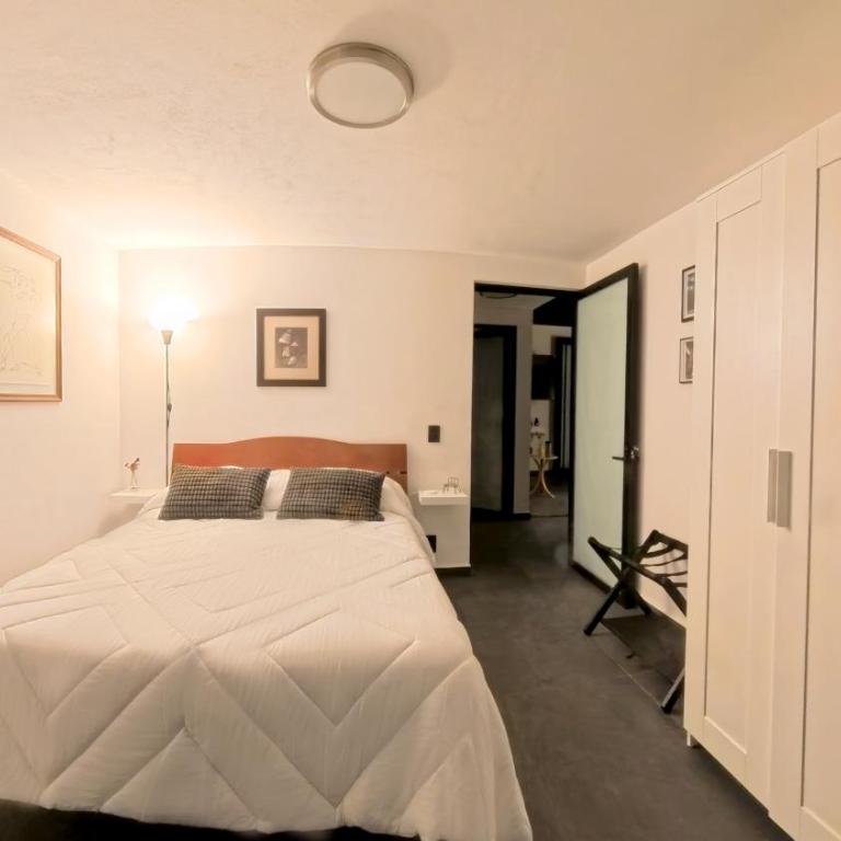 Mi Otra Casa Coyoacan - Quadruple Room with Terrace - 51