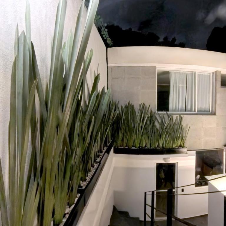 Mi Otra Casa Coyoacan - Quadruple Room with Terrace - 53