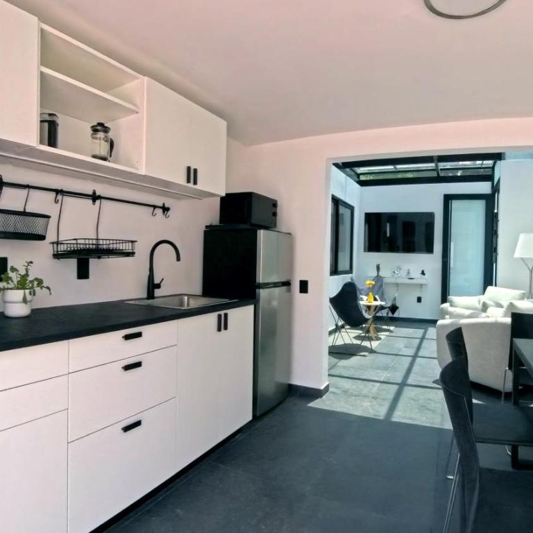 Mi Otra Casa Coyoacan - Quadruple Room with Terrace - 60