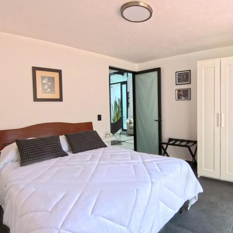 Mi Otra Casa Coyoacan - Quadruple Room with Terrace - 65