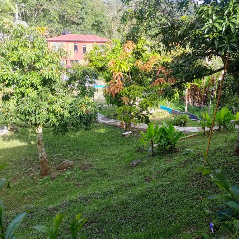 Ecocamping oasis - Tent - 5