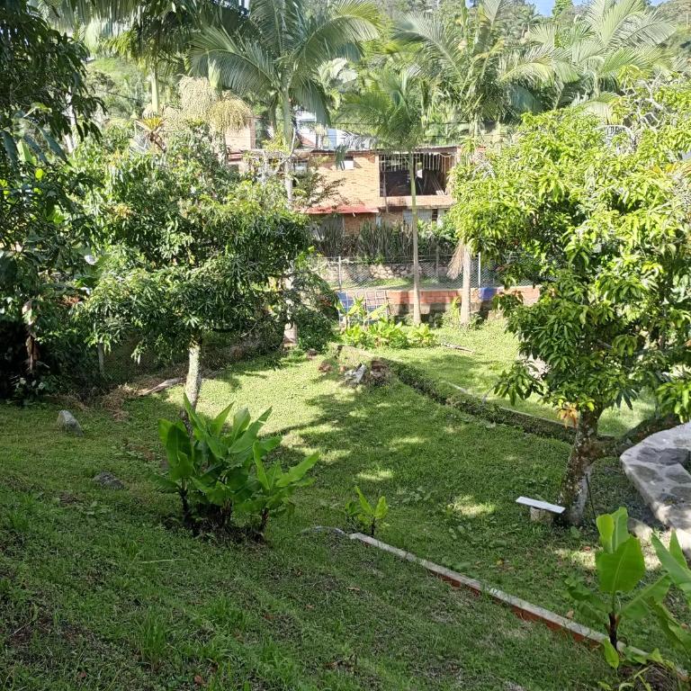 Ecocamping oasis - Tent - 12
