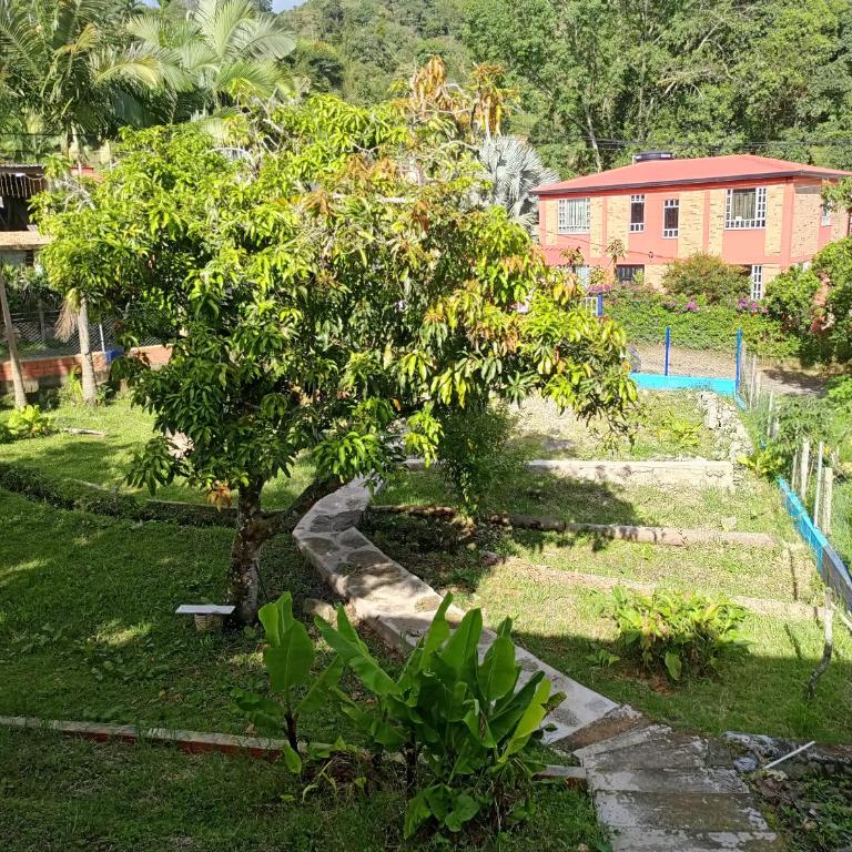 Ecocamping oasis - Tent - 15