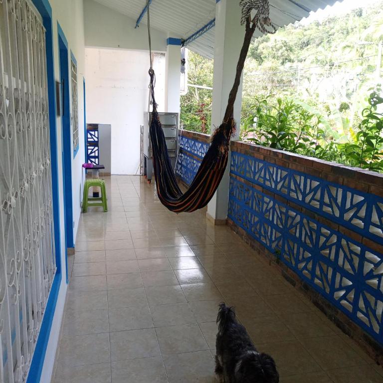 Ecocamping oasis - Tent - 7