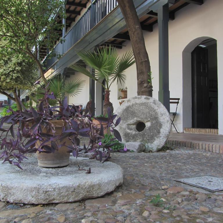 Monumento S.XVI Corralas - Apartamento - Planta baja (2 adultos) - 5