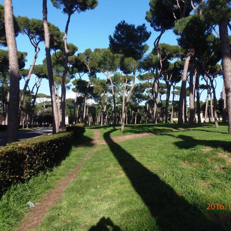 Veneto Excelsior Suite - Appartamento con 3 Camere da Letto - 31