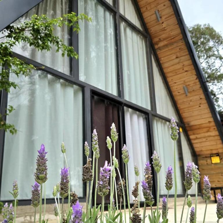 Cabaña alpina para 5 persona - Casa de 2 dormitorios - 14
