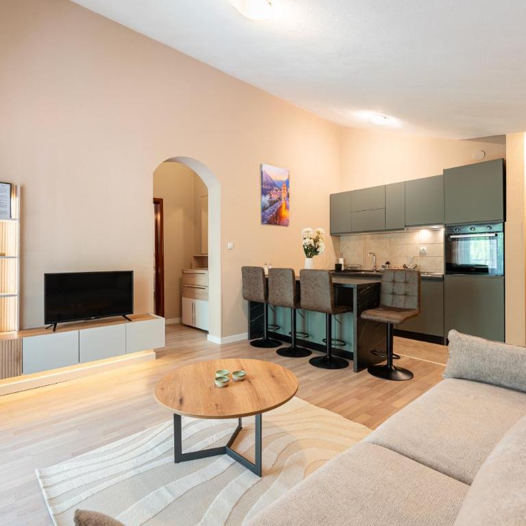 Radonjić Apartments - One-Bedroom Apartment with Balcony and Mountain View - 8