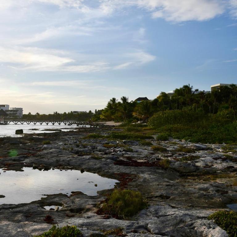 TULUM Beachfront Villa Kiin - Villa frente a la playa - 43