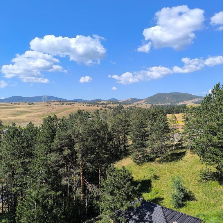 Lovely view - One-Bedroom Apartment - 23