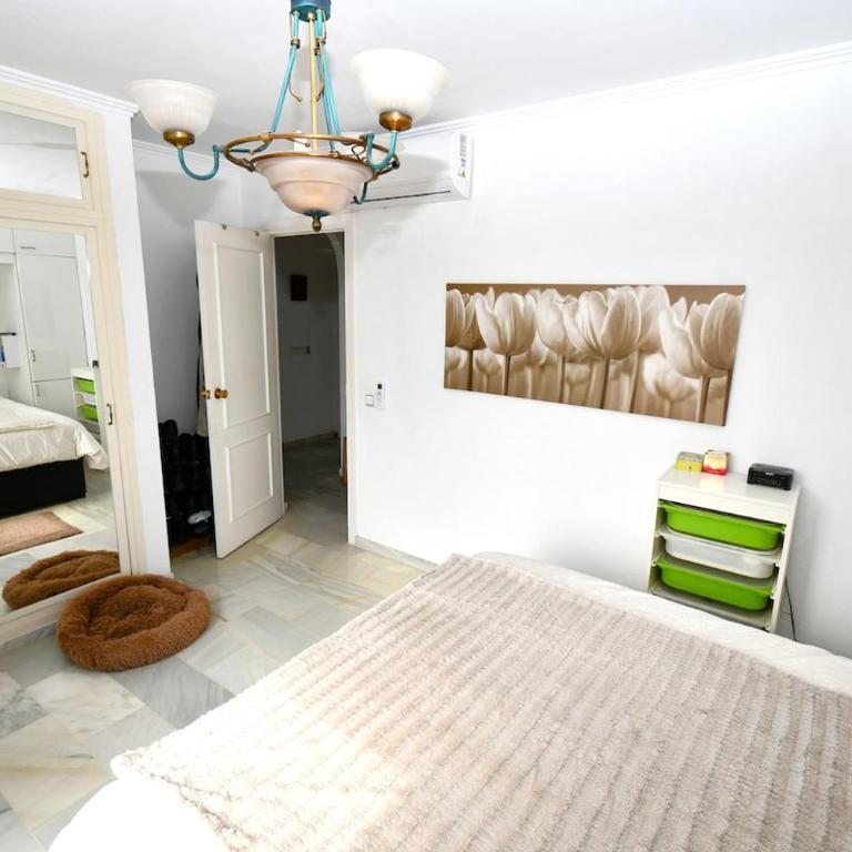 Casa La Rana - 2 Bd - 1 Ba - El Chaparral - Apartamento de 2 dormitorios - 21