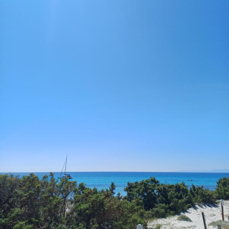 Wonderful holiday: relax in the green Villasimius - Appartamento con 1 Camera da Letto - 19