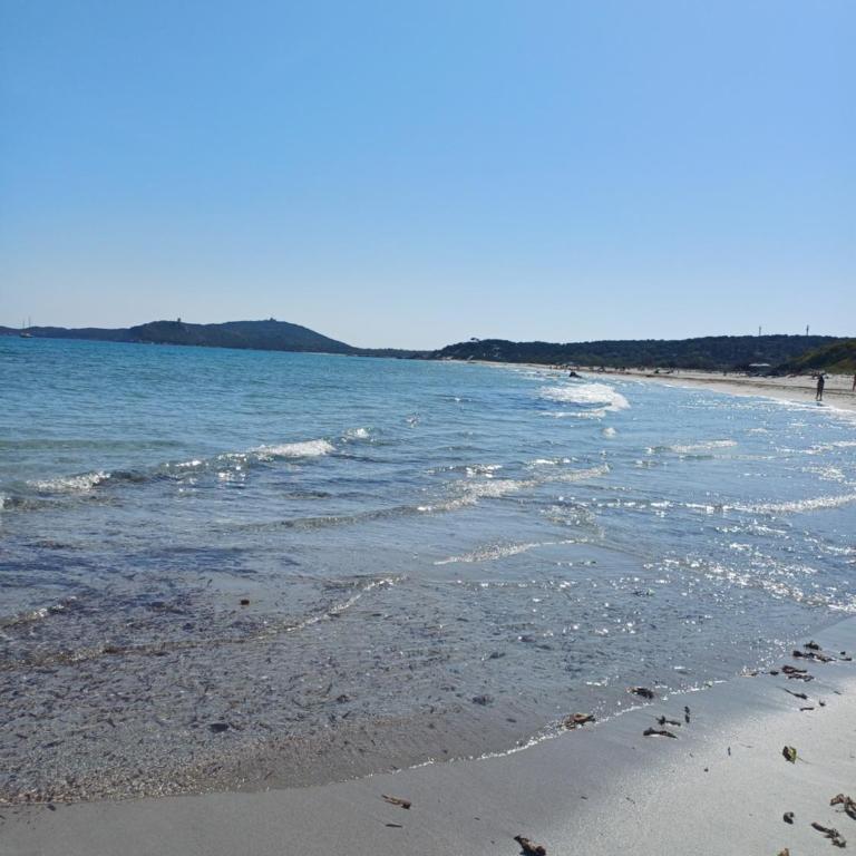 Wonderful holiday: relax in the green Villasimius - Appartamento con 1 Camera da Letto - 21